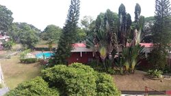 Mimosa Park (D28), Condominium #488243231